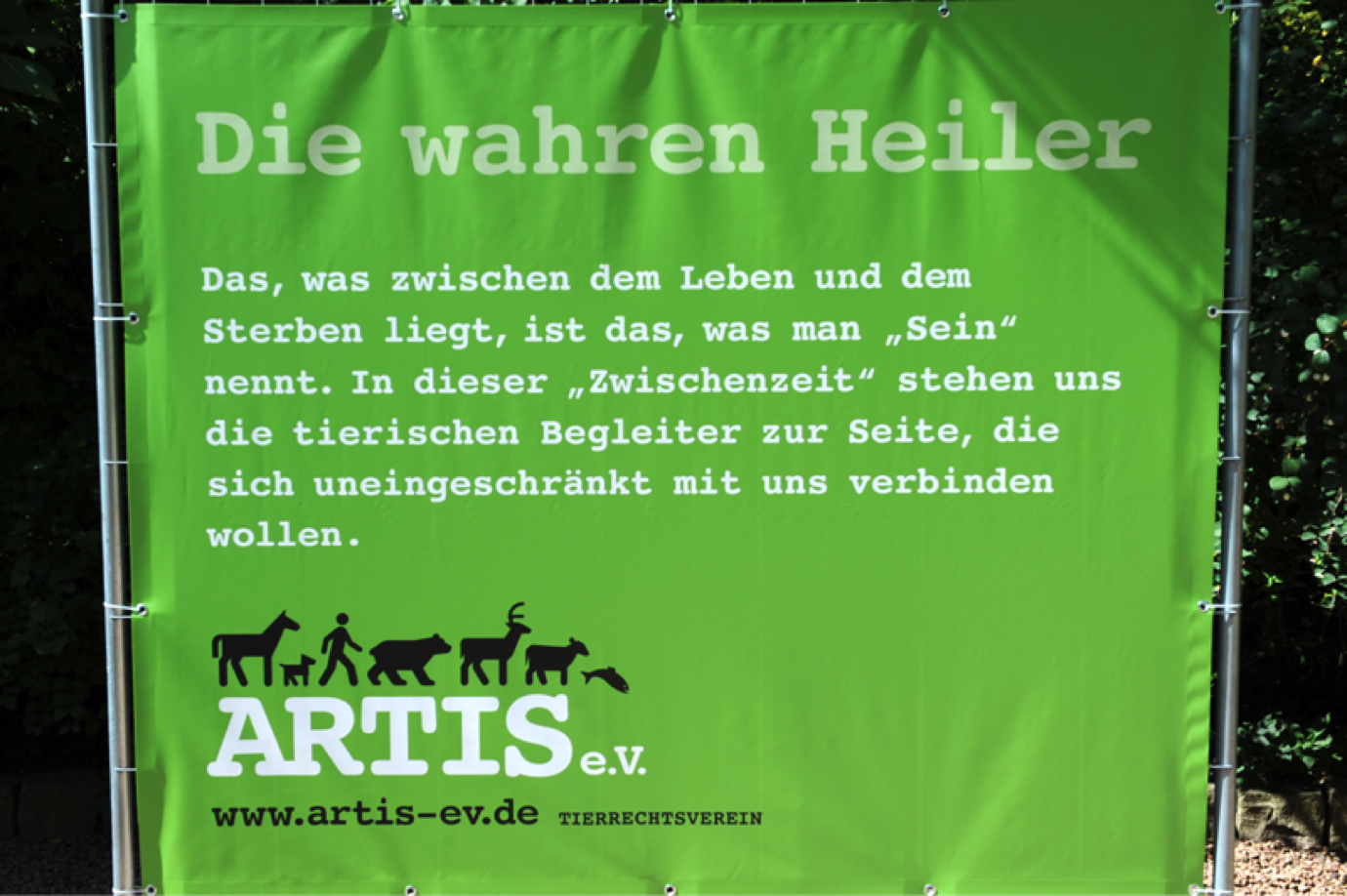 bild12
