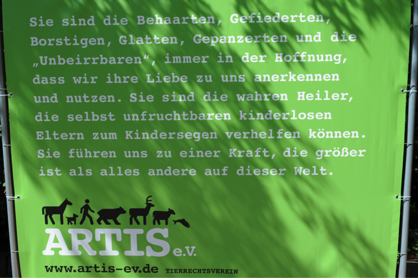 bild13