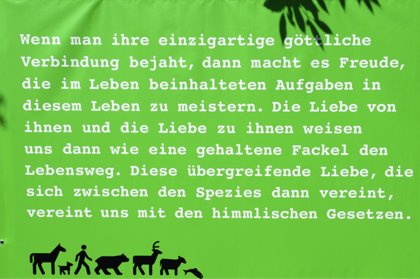 bild14