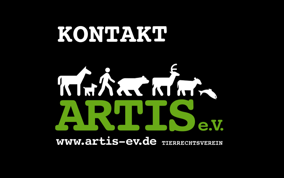 kontakt